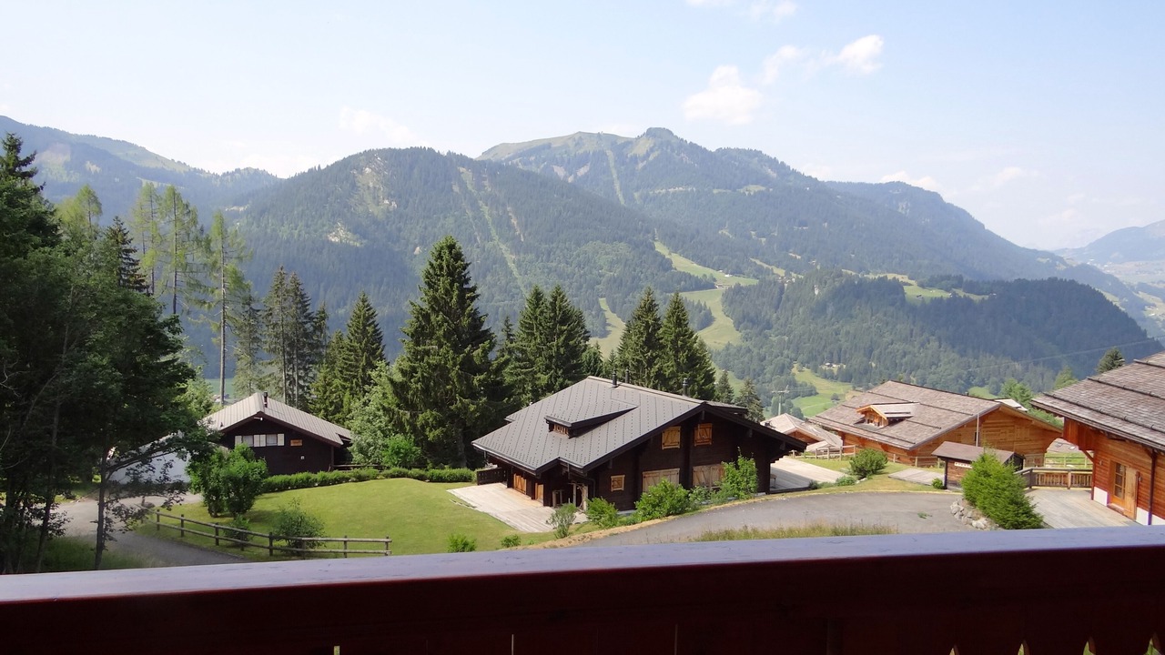 Photo of Patio Balcony in Ormont-Dessus