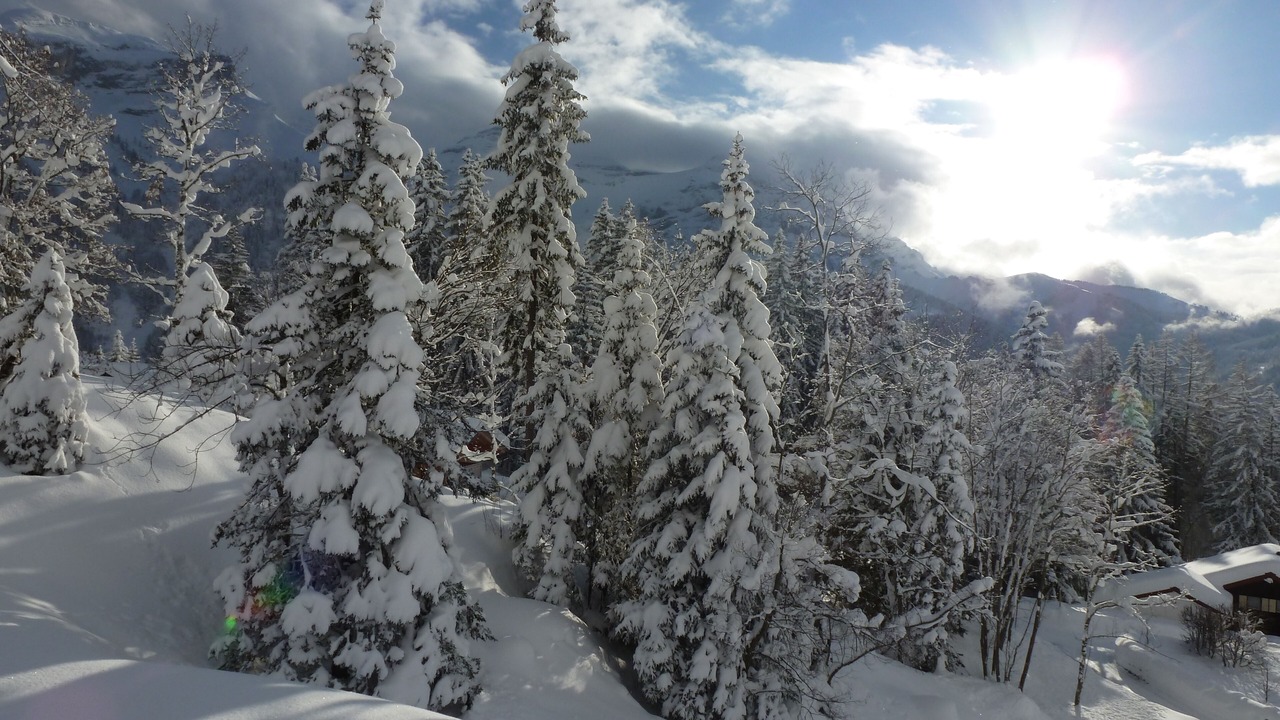Photo of Others in Ormont-Dessus