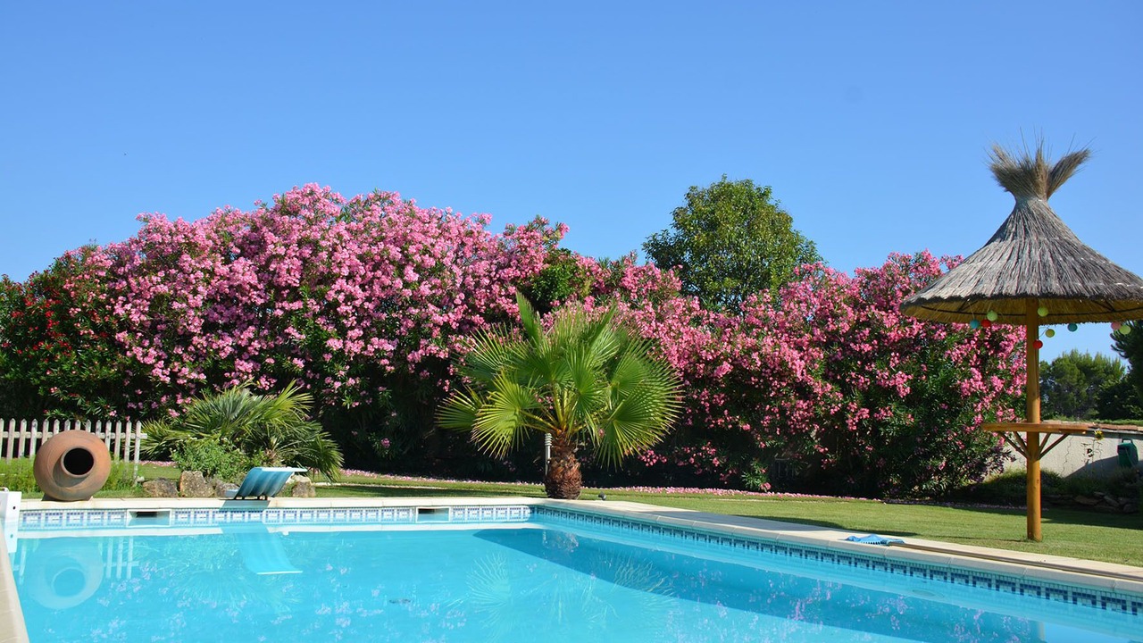 Photo of Outdoor in Bouillargues