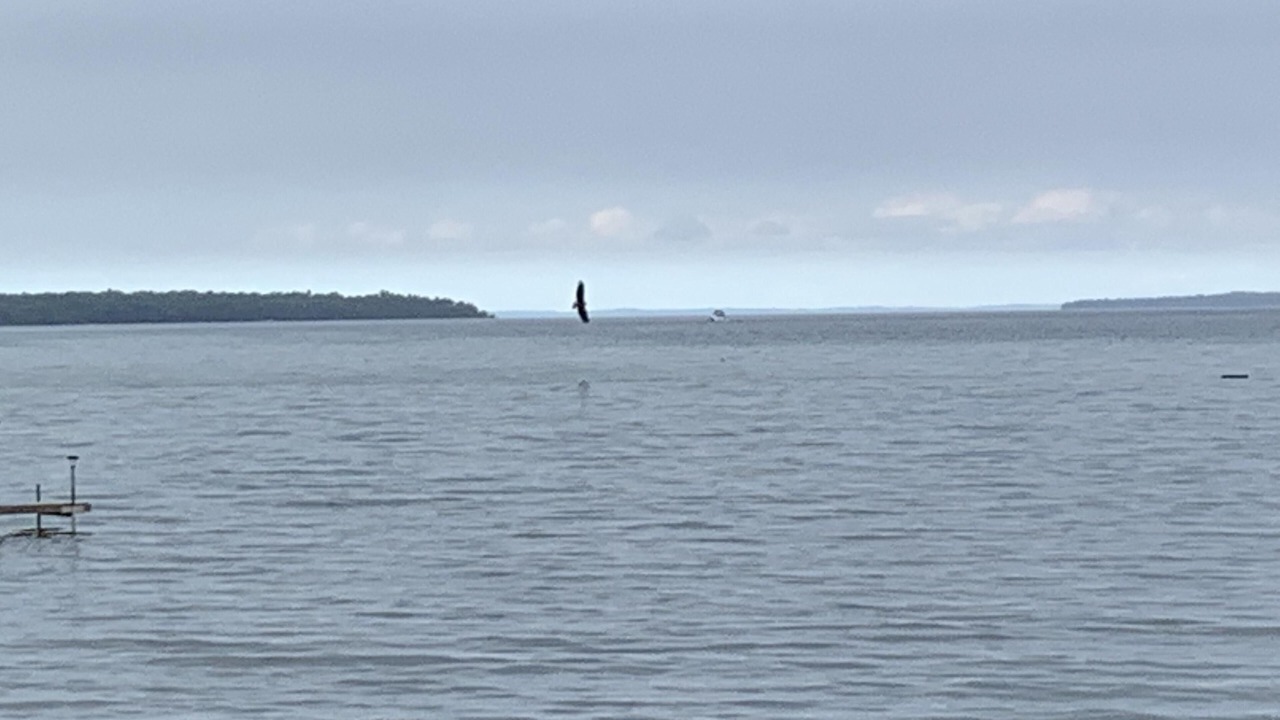 Photo of Others in Suttons Bay