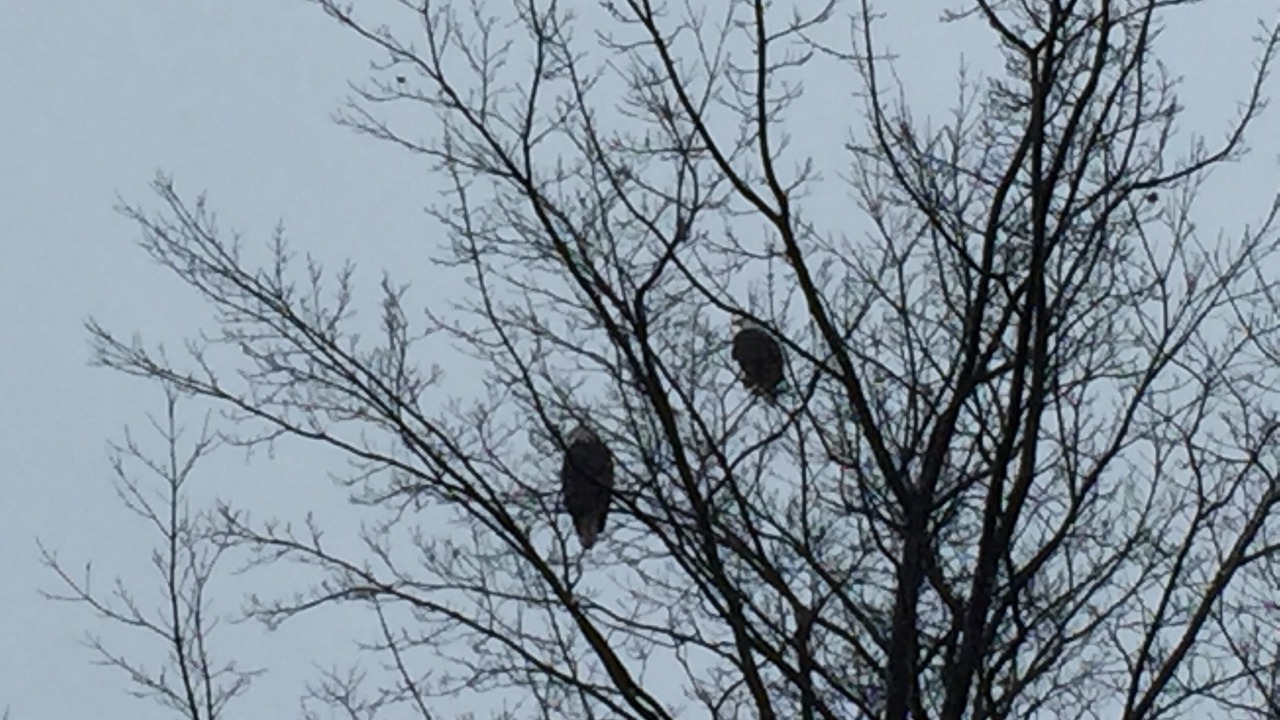Photo of Others in Suttons Bay