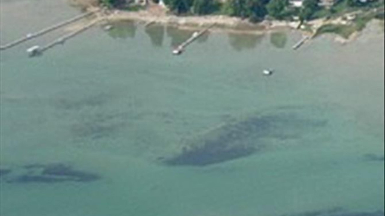 Photo of Others in Suttons Bay