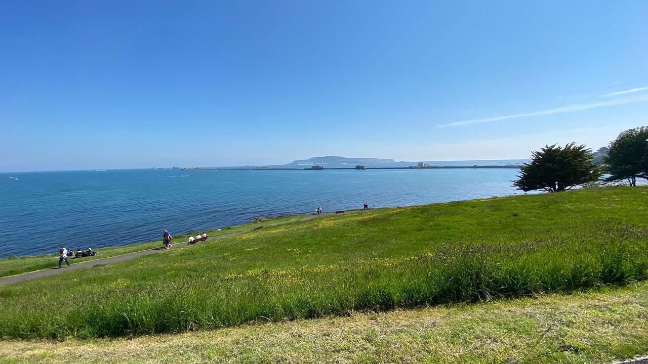 Photo of Others in Weymouth