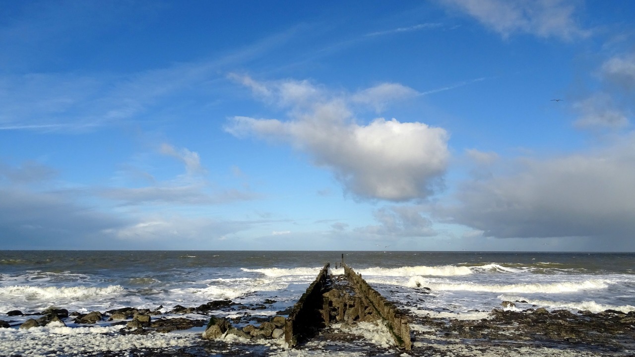 Photo of Others in Westkapelle