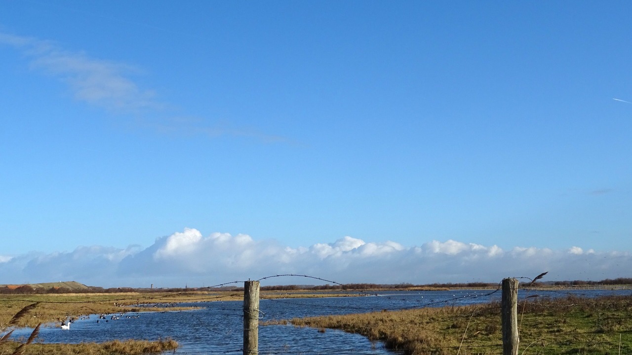 Photo of Others in Westkapelle