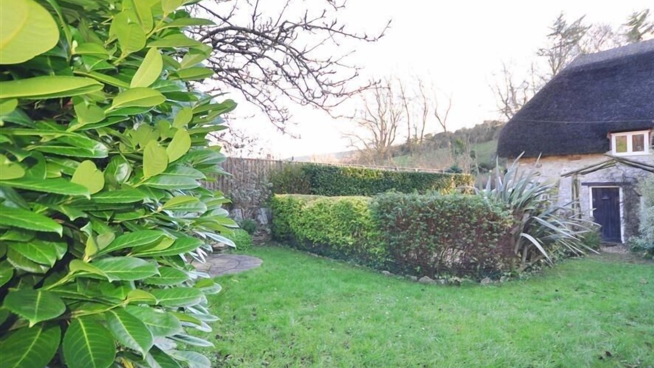 Photo of Outdoor in West Lulworth
