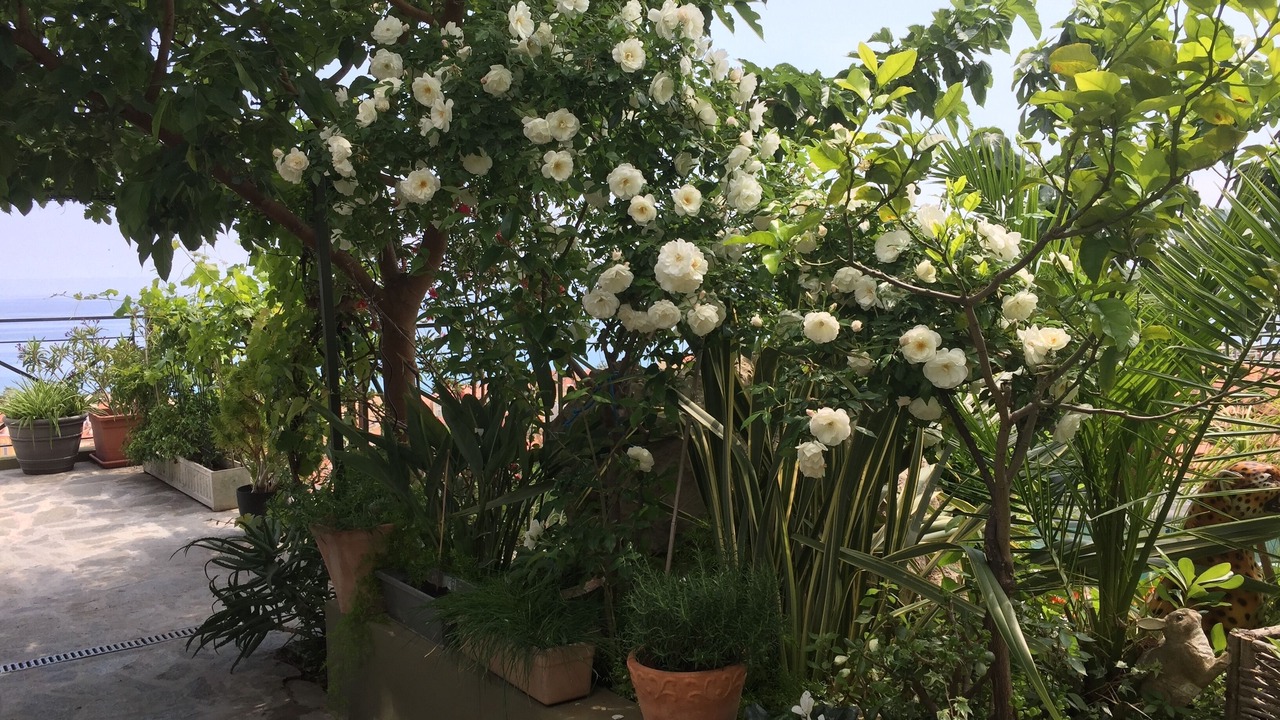 Photo of Outdoor in Menton