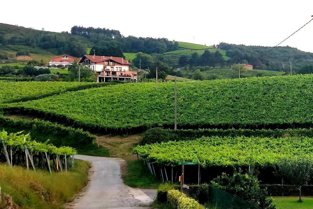 Photo of Outdoor in Getaria