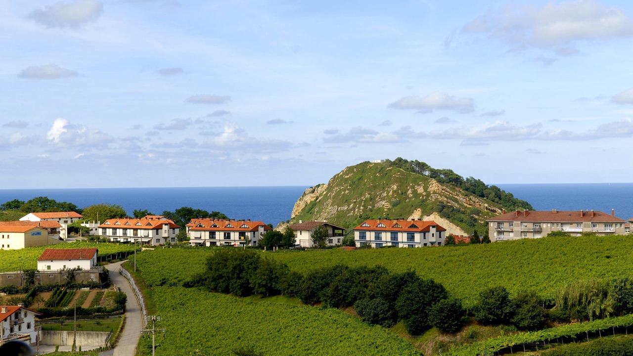 Photo of Others in Getaria