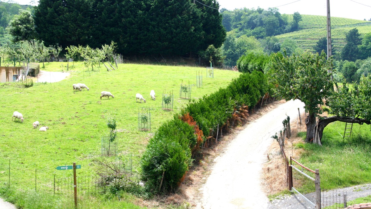 Photo of Outdoor in Getaria