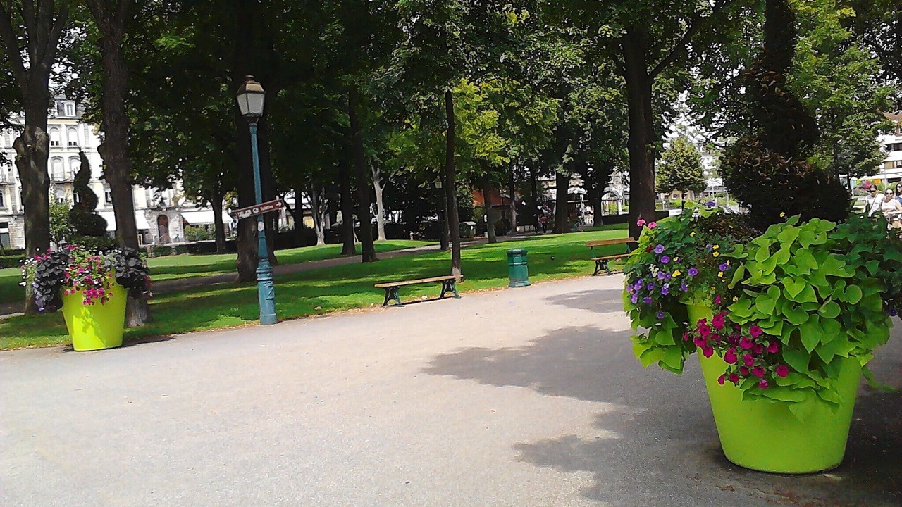 Photo of Outdoor in Colmar