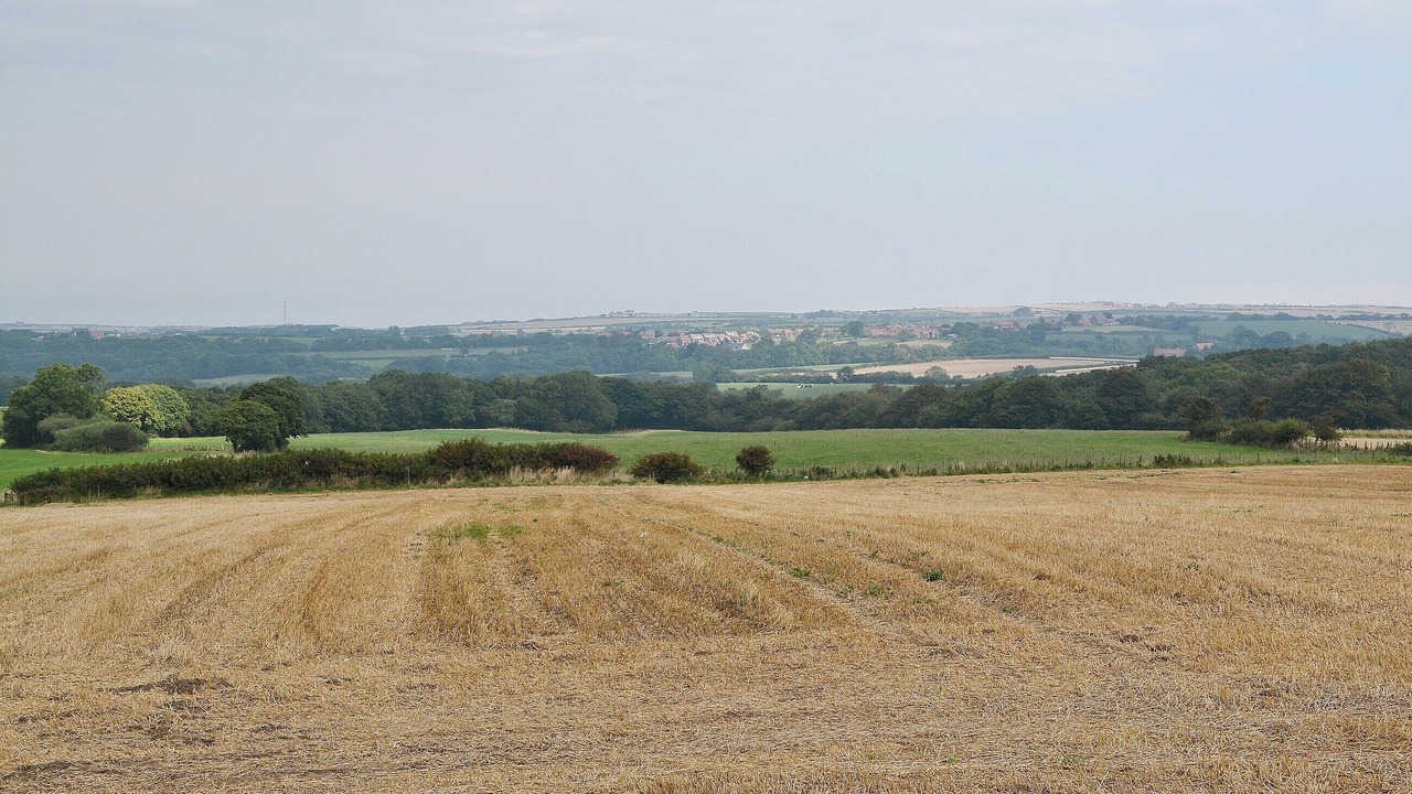 Photo of Others in Briggswath