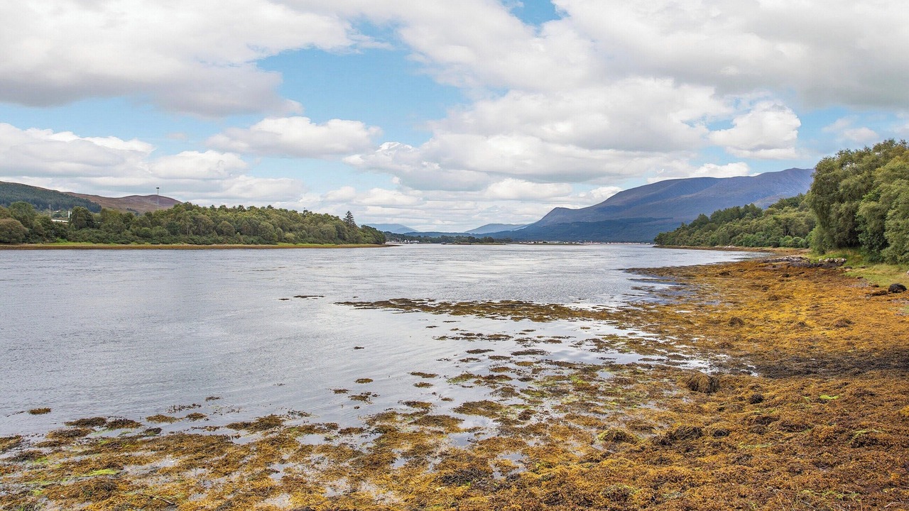 Photo of Others in Fort William