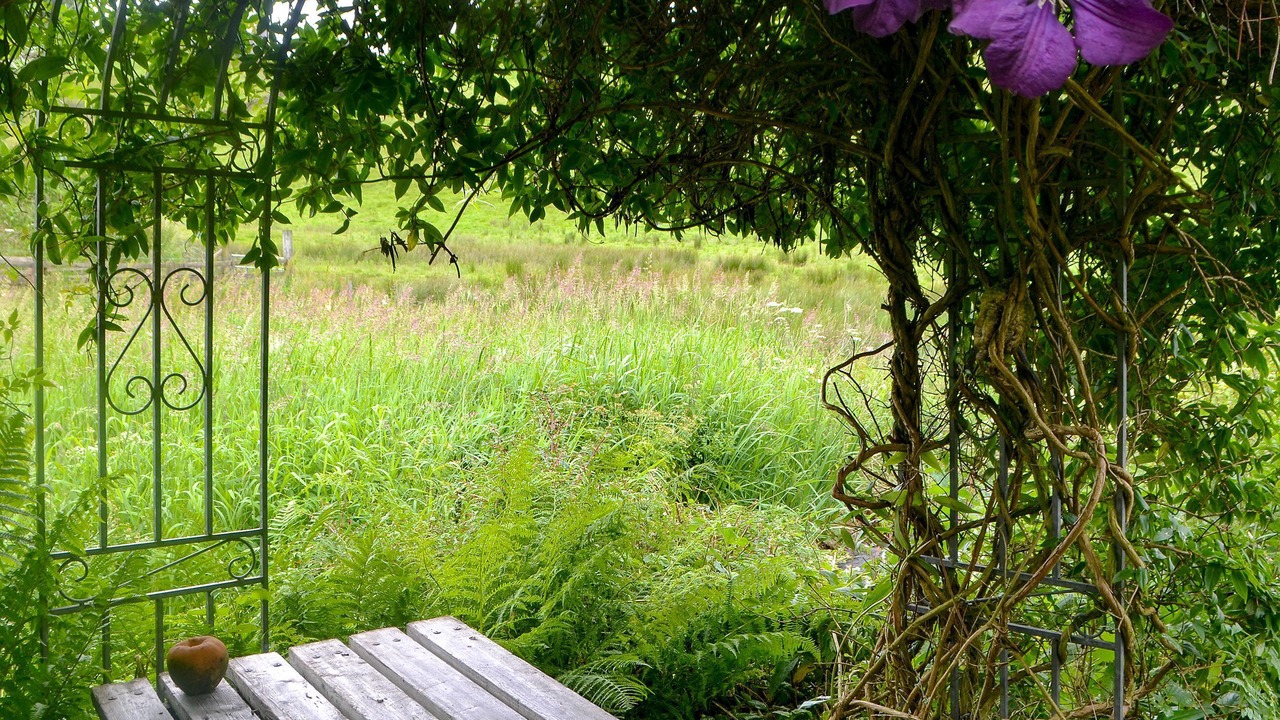 Photo of Outdoor in Newbridge