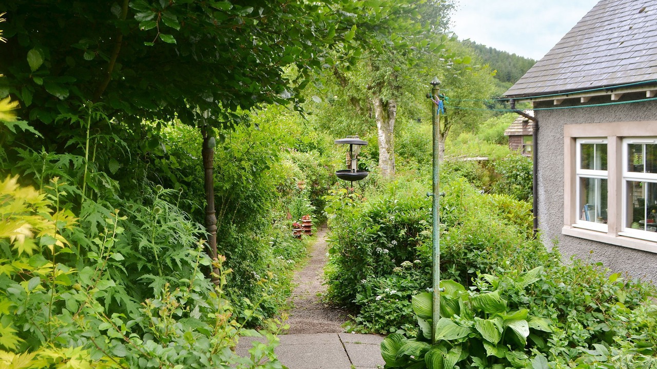 Photo of Outdoor in Newbridge