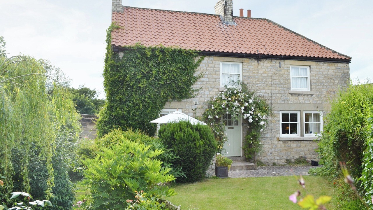 Photo of Others in Helmsley