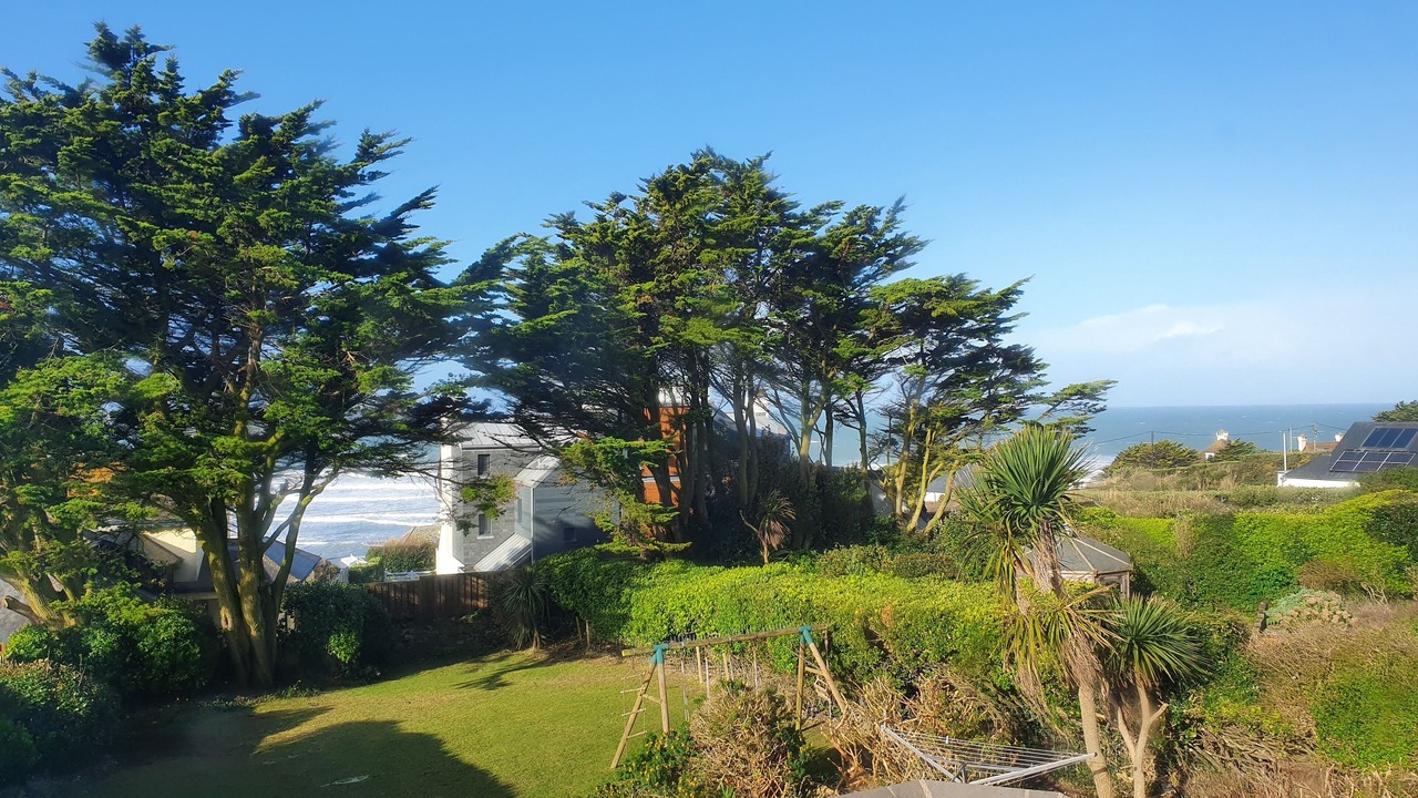 Photo of Outdoor in Treator
