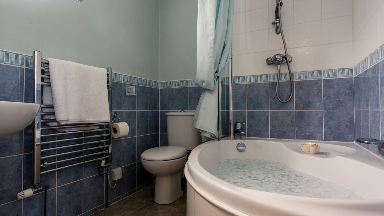 Photo of Bathroom in Treator
