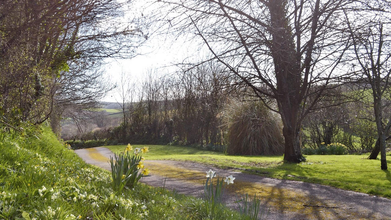 Photo of Others in Liverton