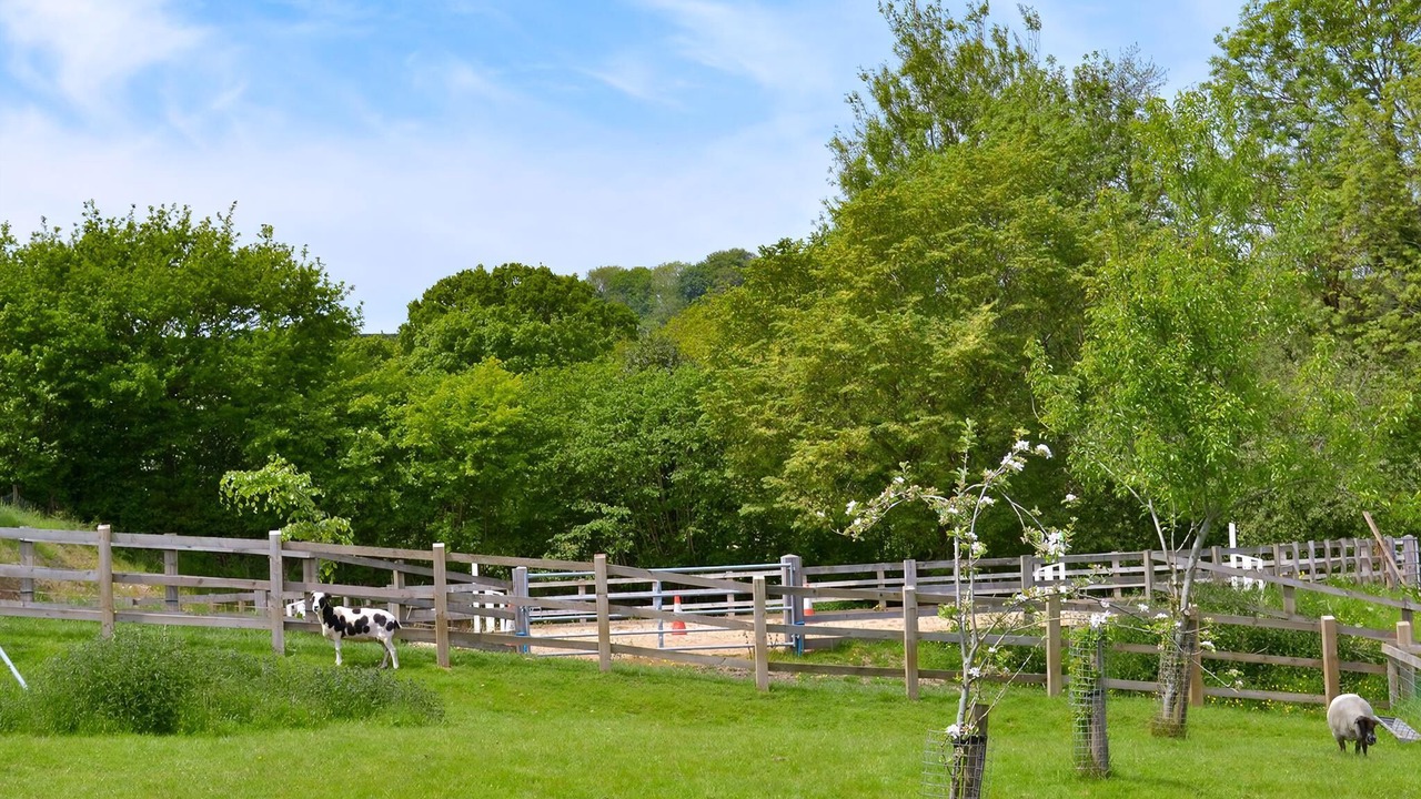 Photo of Others in Honiton