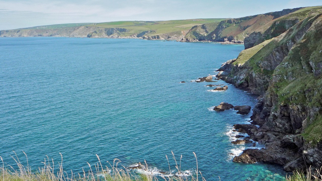 Photo of Others in Port Isaac