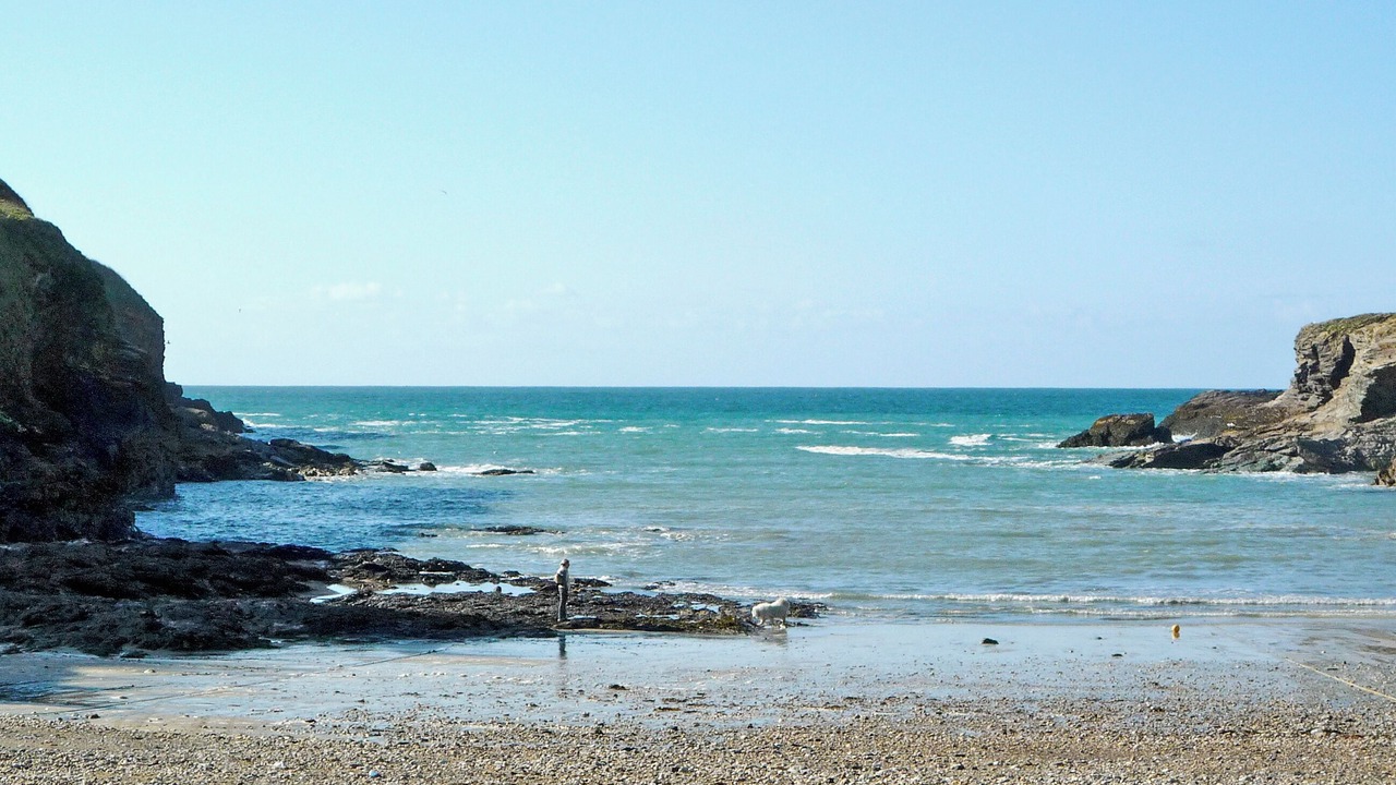 Photo of Others in Port Isaac