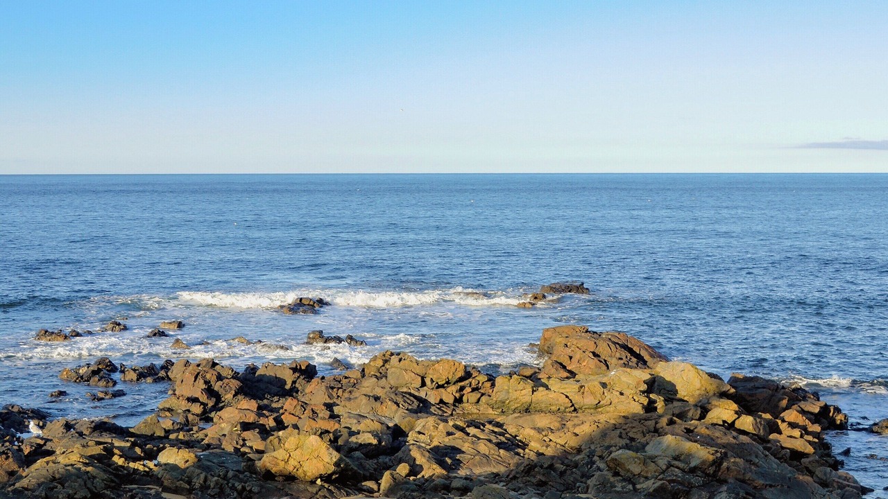 Photo of Others in Sandhaven
