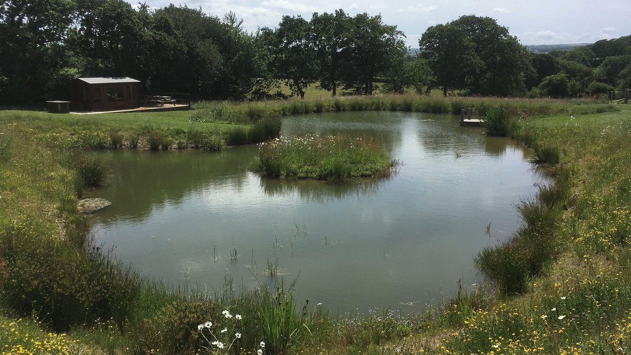 Photo of Outdoor in Brazzacott