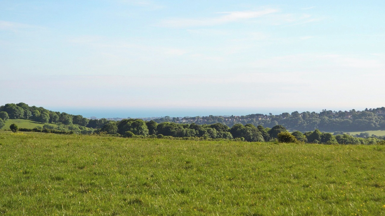 Photo of Others in Findon