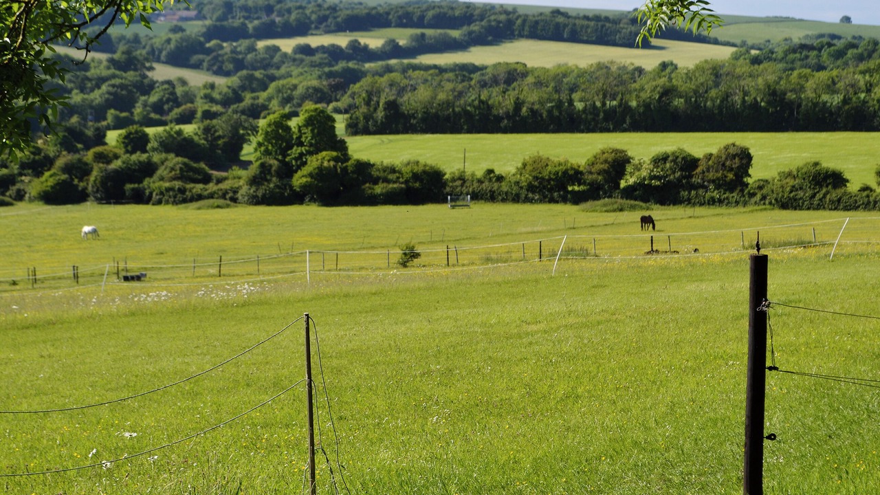 Photo of Others in Findon