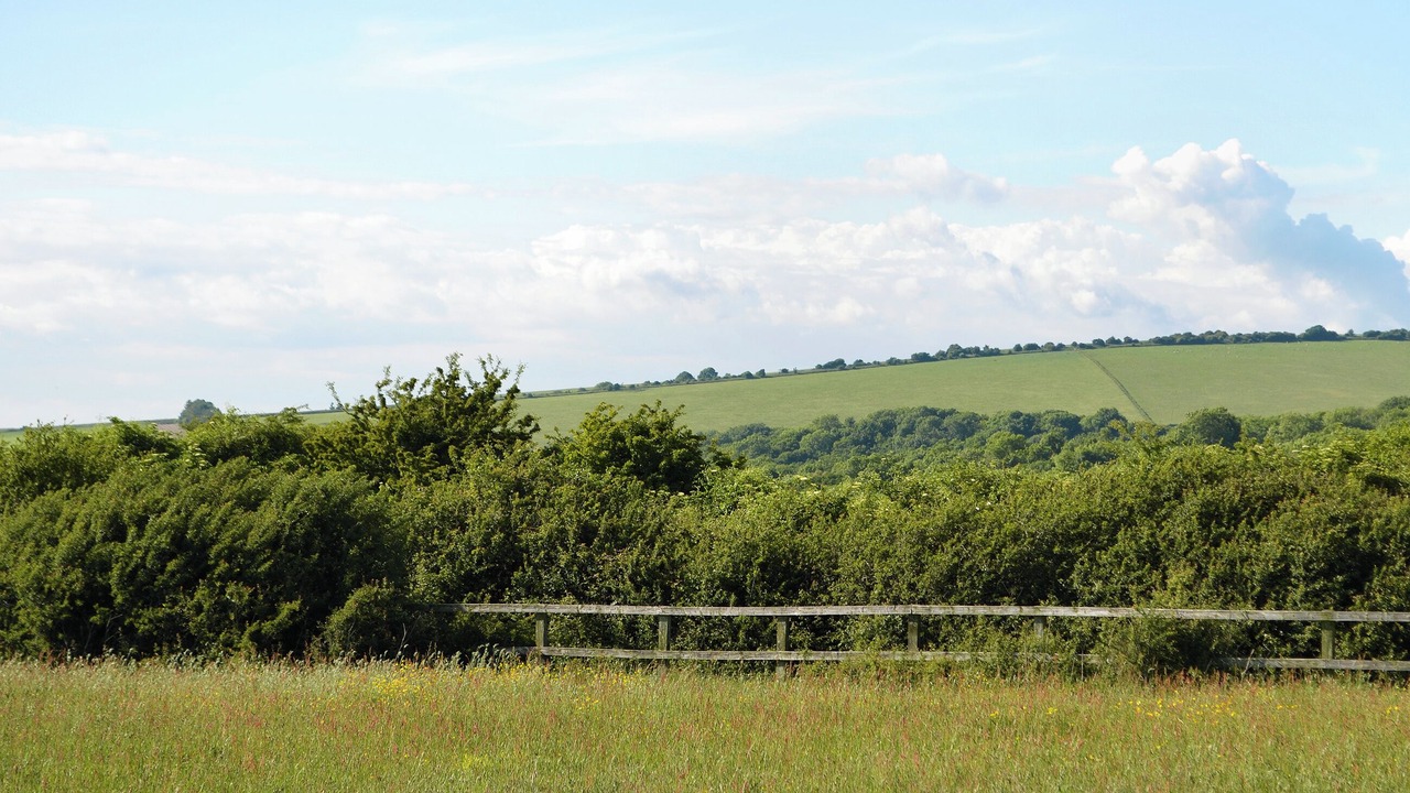 Photo of Others in Findon