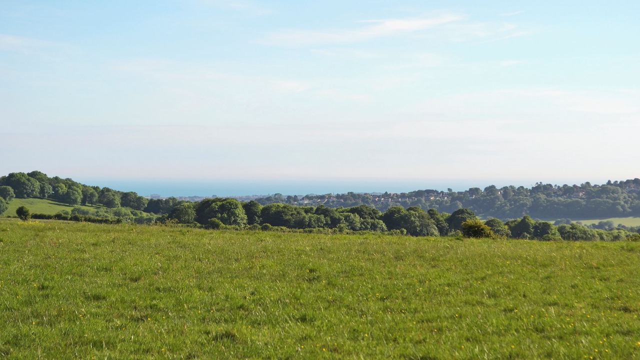 Photo of Others in Findon