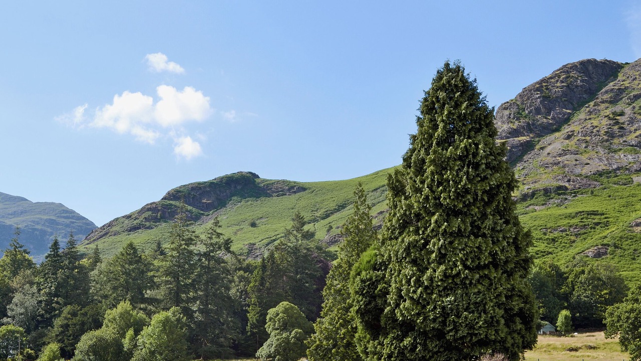 Photo of Others in Coniston