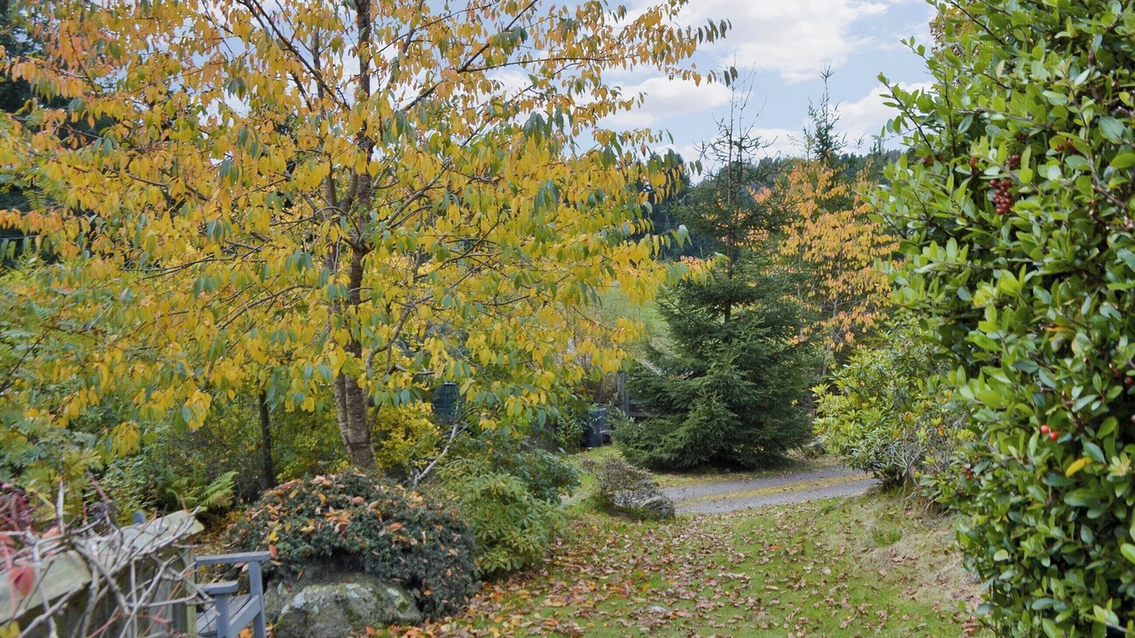Photo of Outdoor in Murthly