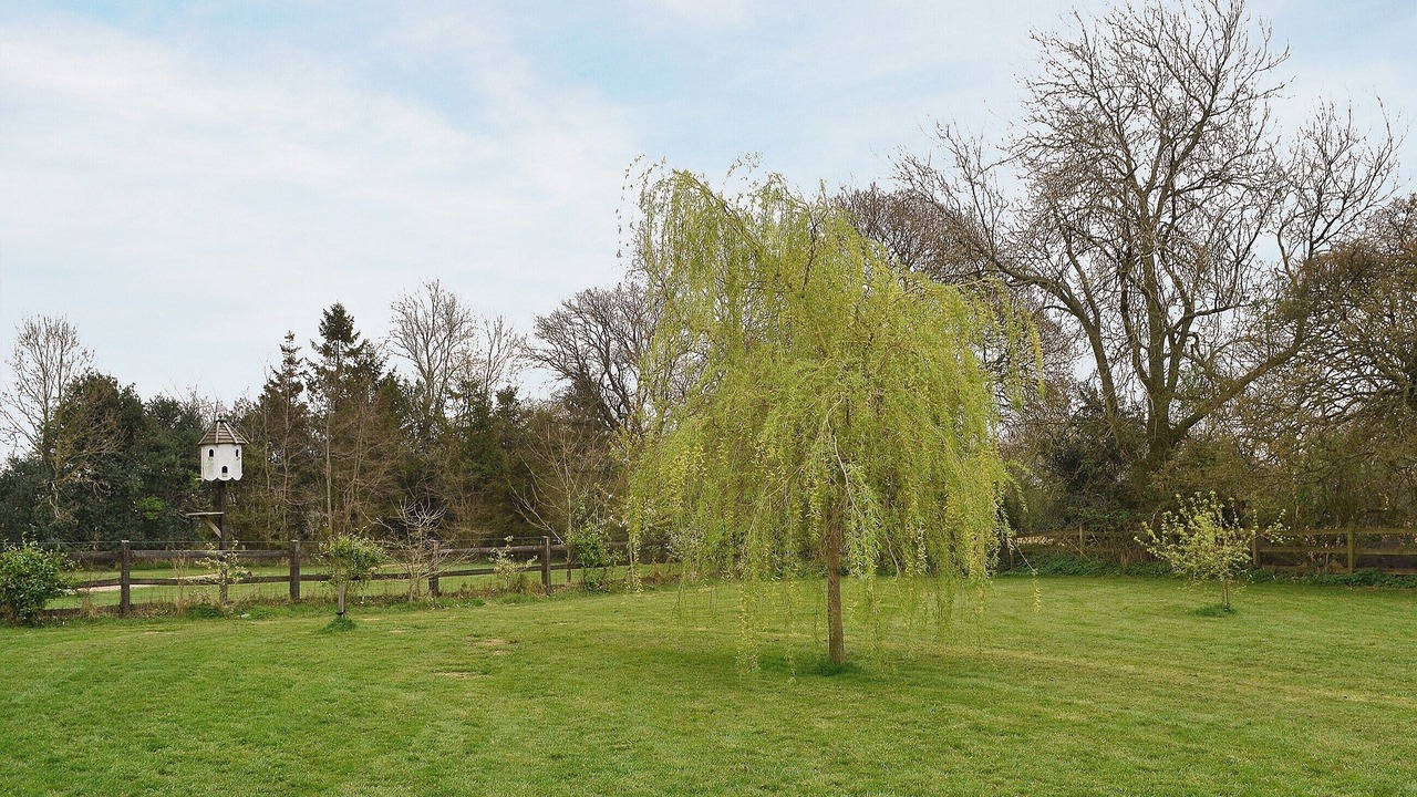 Photo of Outdoor in Elmsted