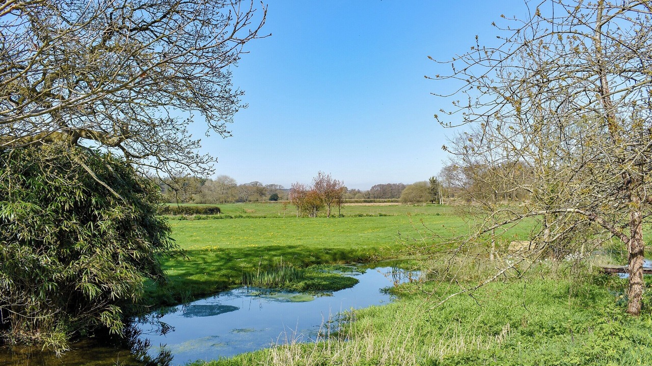 Photo of Outdoor in Wareham