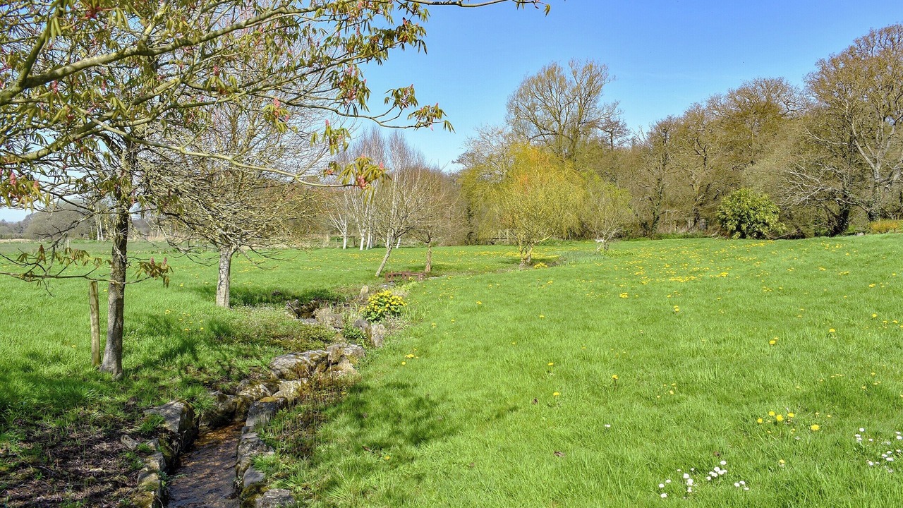 Photo of Outdoor in Wareham