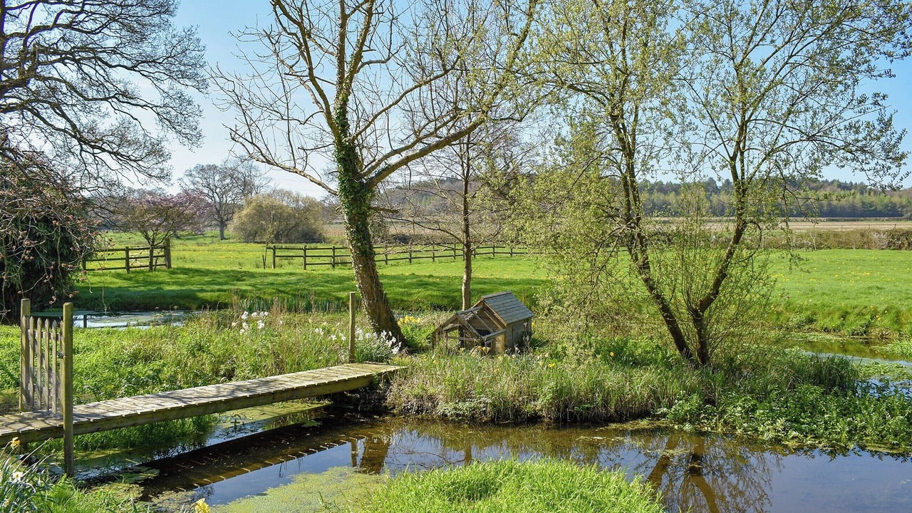 Photo of Outdoor in Wareham