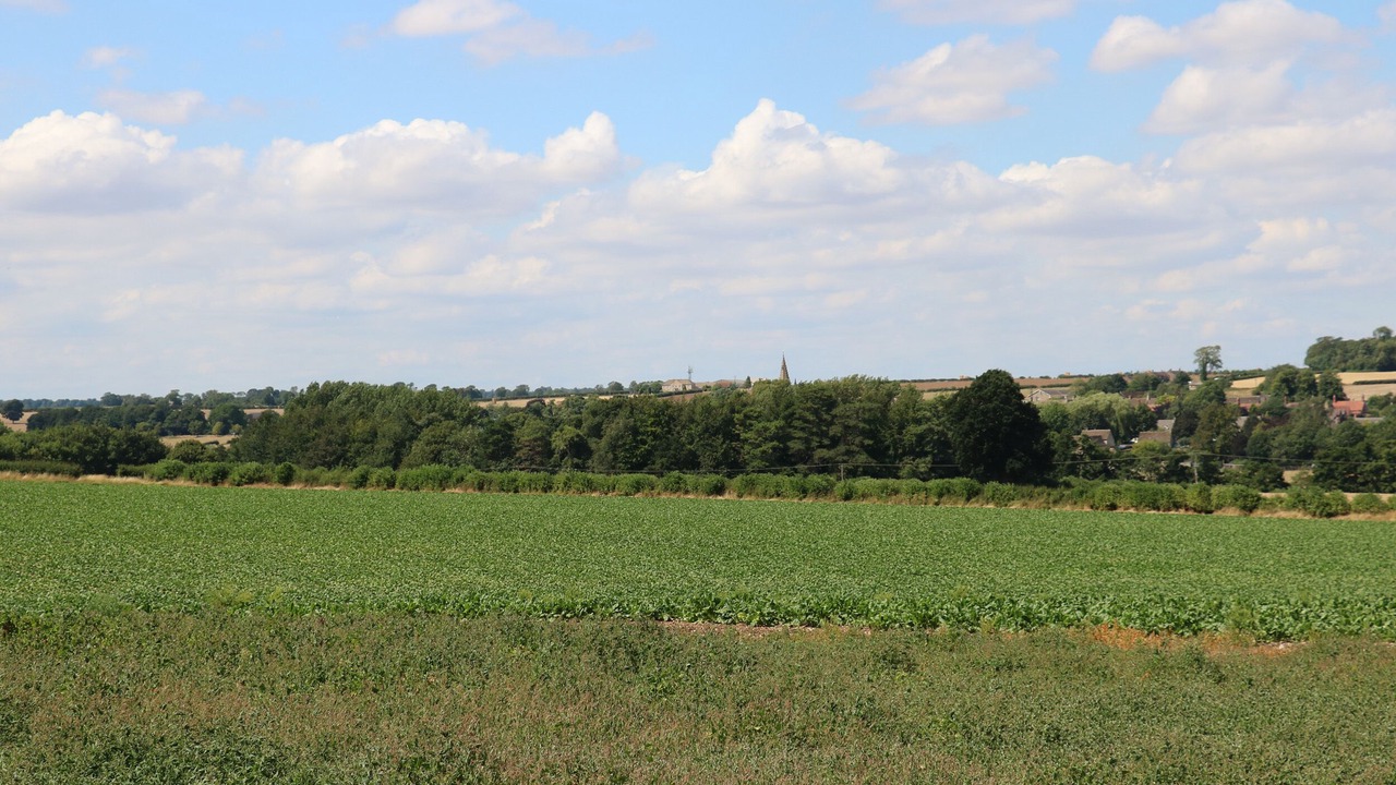 Photo of Outdoor in Barnsdale