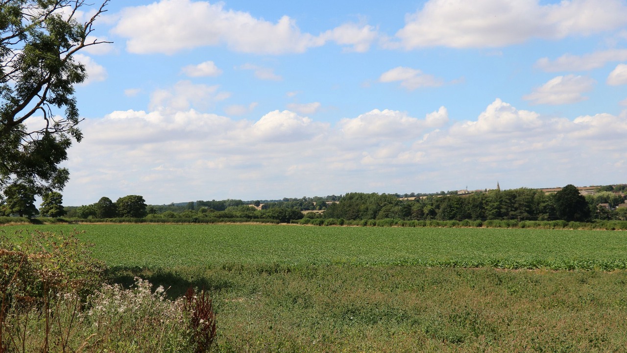 Photo of Outdoor in Barnsdale
