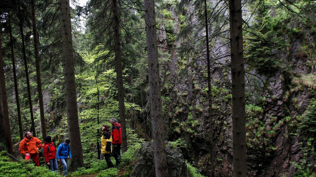 Photo of Others in Oberhof