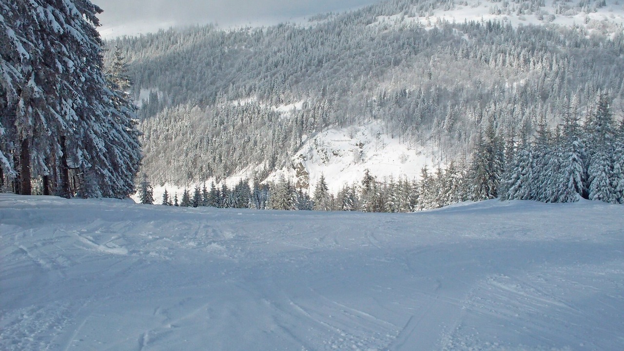Photo of Others in Kappel