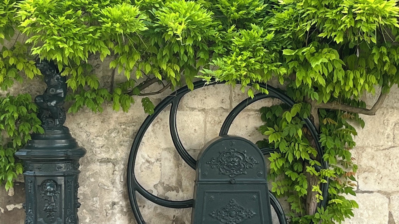 Photo of Outdoor in Beaugency