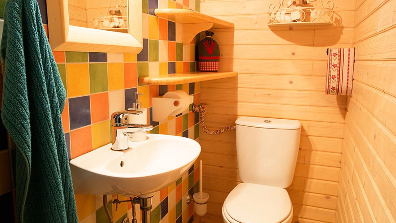 Photo of Bathroom in Ambroz pod Krvavcem