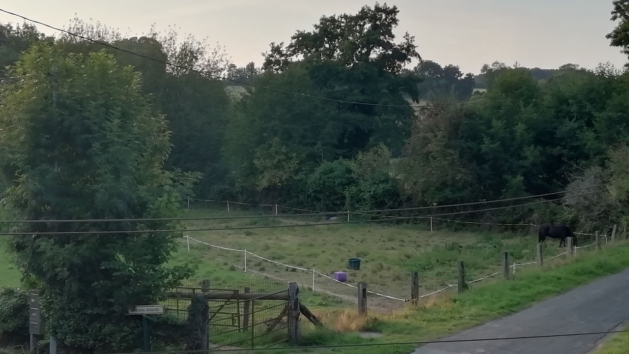 Photo of Outdoor in Saint-Vaast-sur-Seulles