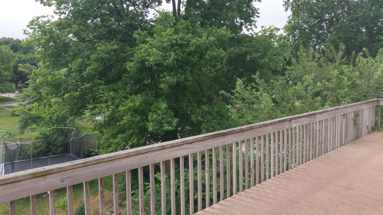 Photo of Outdoor in McLean