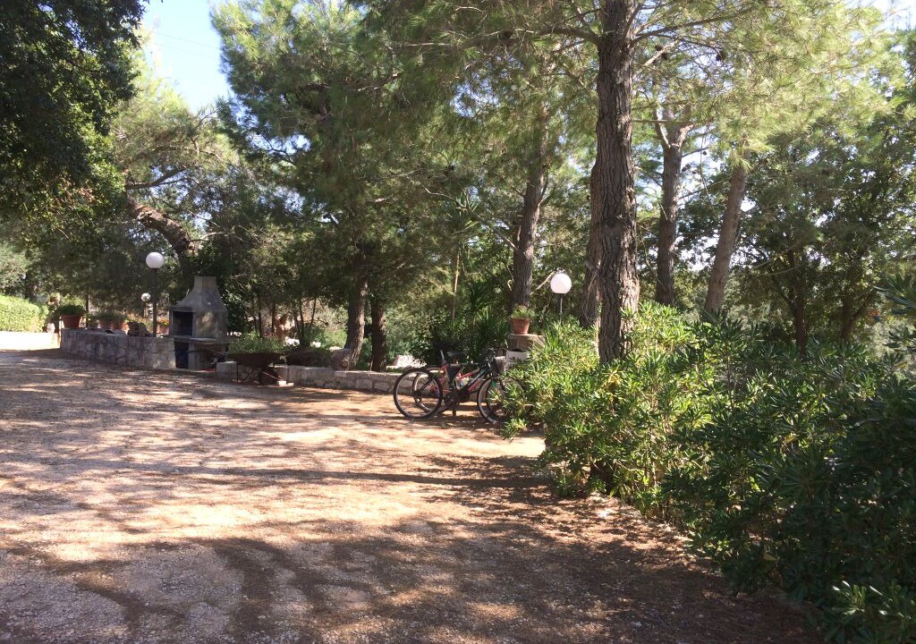 Photo of Outdoor in Specchiaruzzo