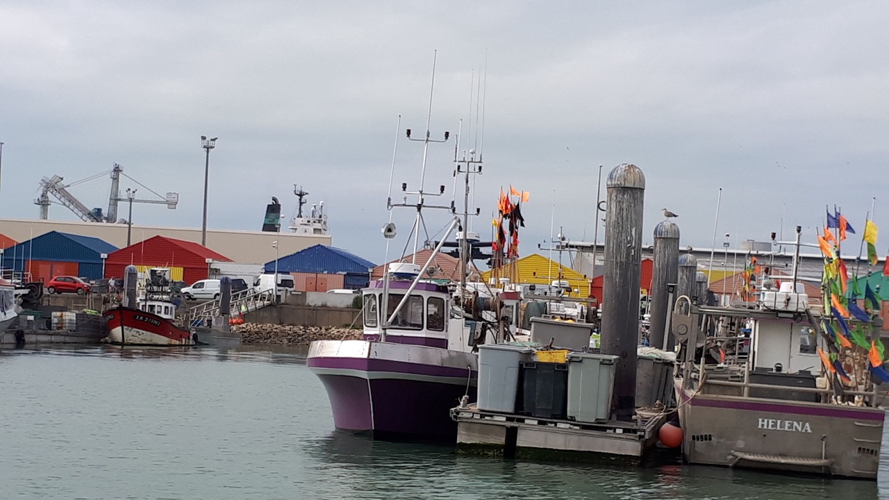Photo of Others in Dompierre-sur-Mer