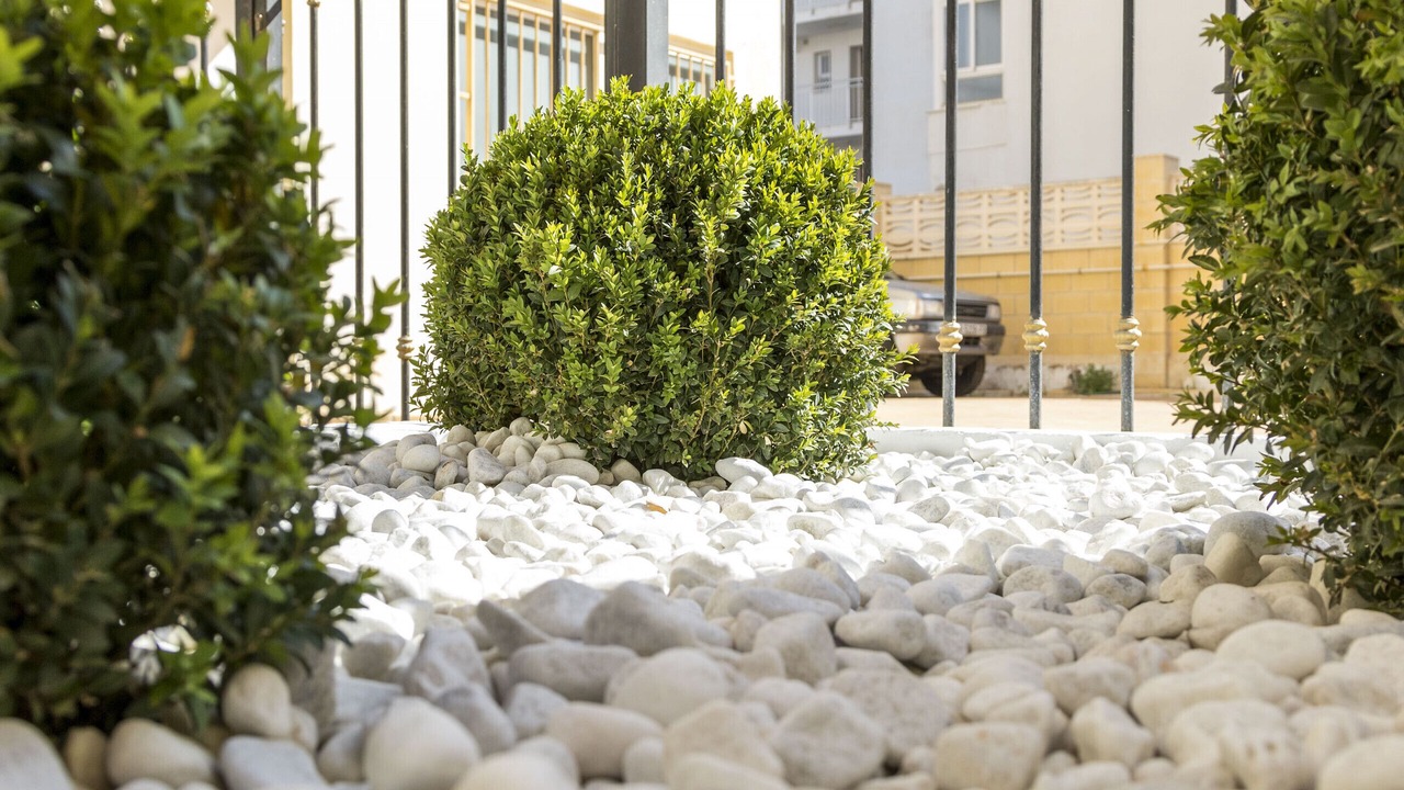 Photo of Outdoor in Grao de Gandia