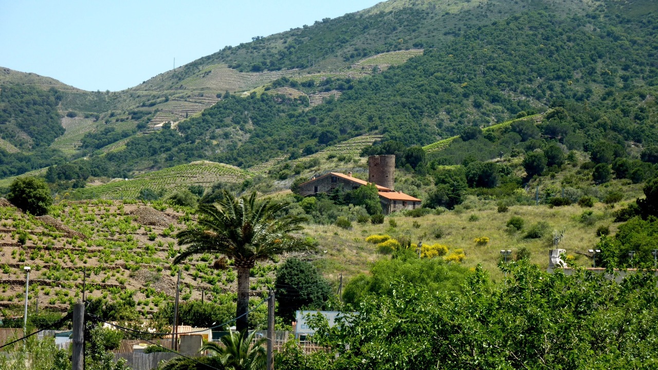 Photo of Outdoor in Banyuls-sur-Mer